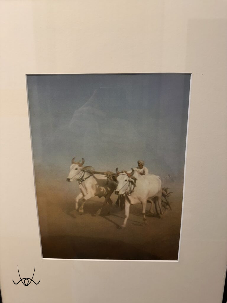 Ylla, az állatfotózás úttörője, aki a természet szabadságát fényképezte.