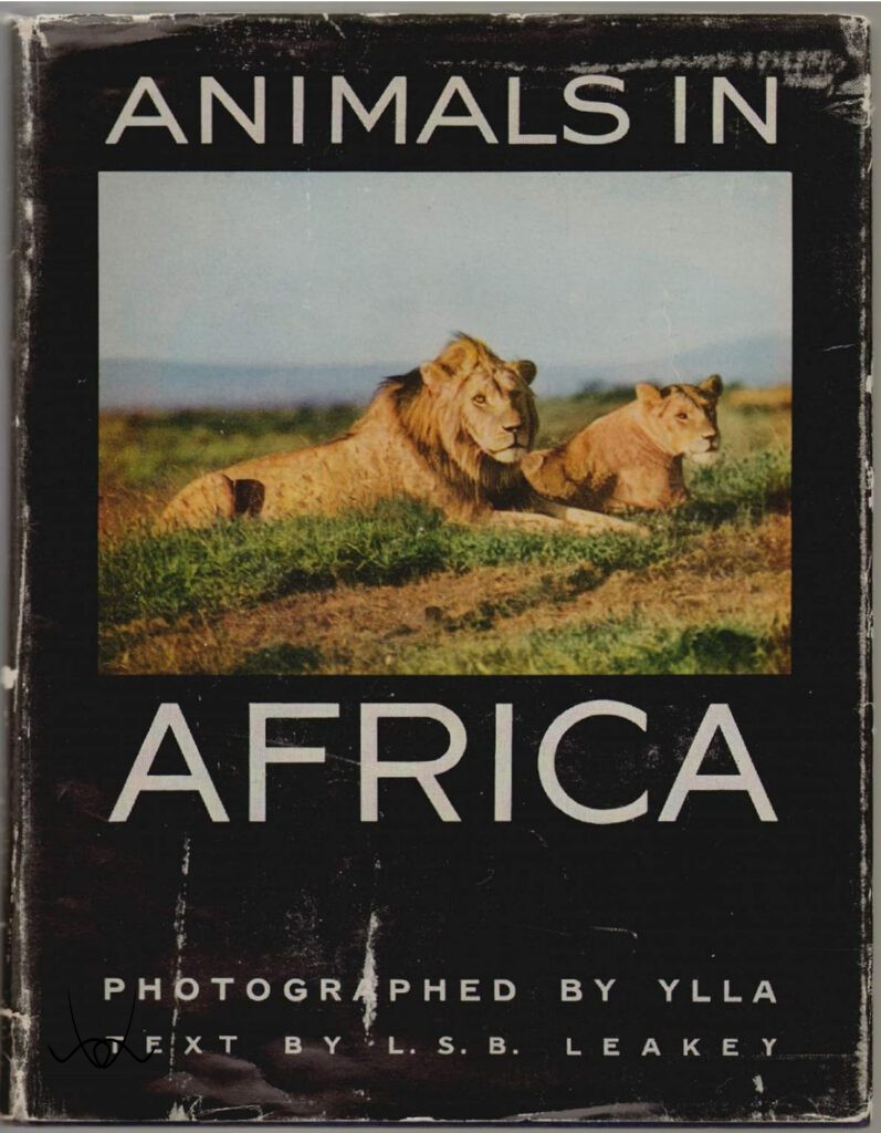 Ylla, az állatfotózás úttörője, aki a természet szabadságát fényképezte.