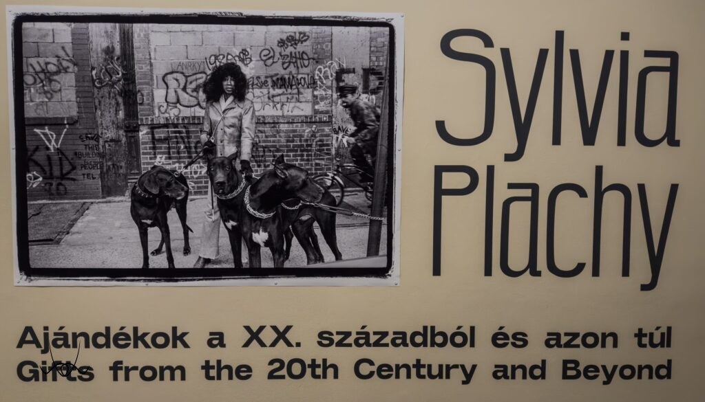 Sylvia Plachy the PUNK - Ajándékok a XX. századból és azon túl