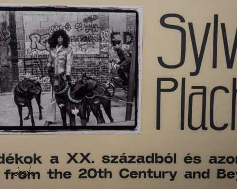 Sylvia Plachy the PUNK - Ajándékok a XX. századból és azon túl