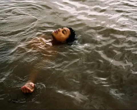 Bird by Andrea Arnold