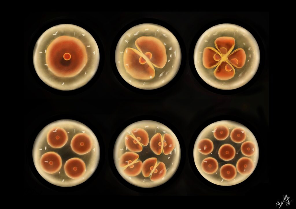 Már élsz – You Are Already Alive