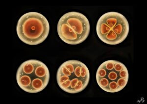 Már élsz – You Are Already Alive