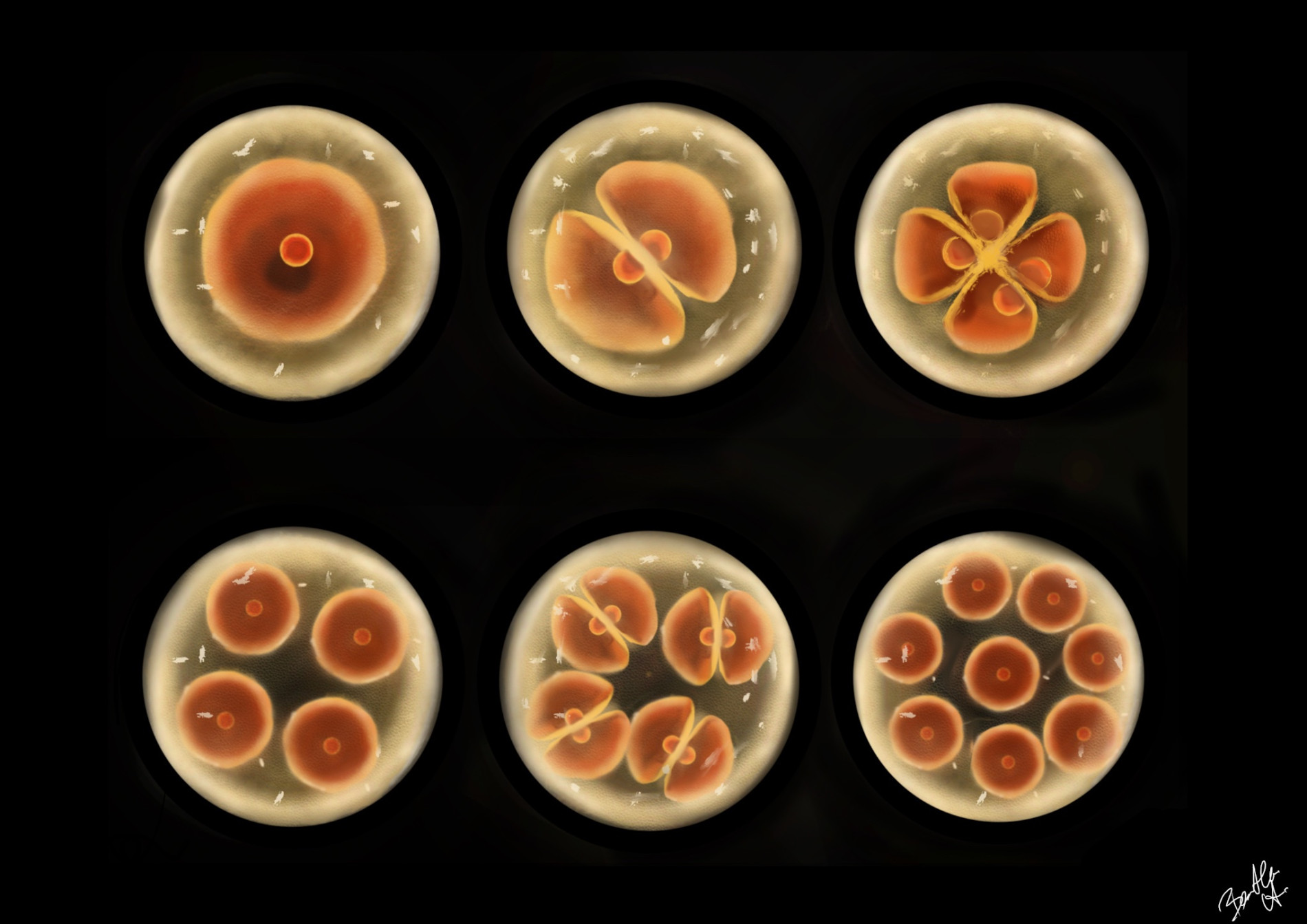 Már élsz – You Are Already Alive