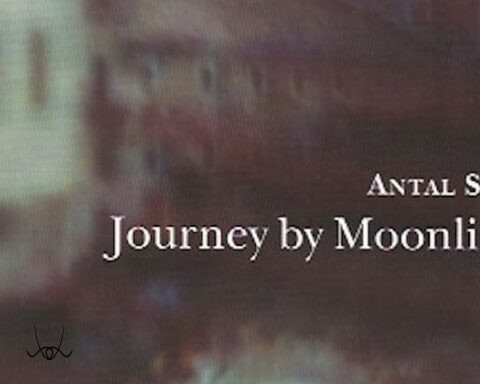 Journey by Moonlight