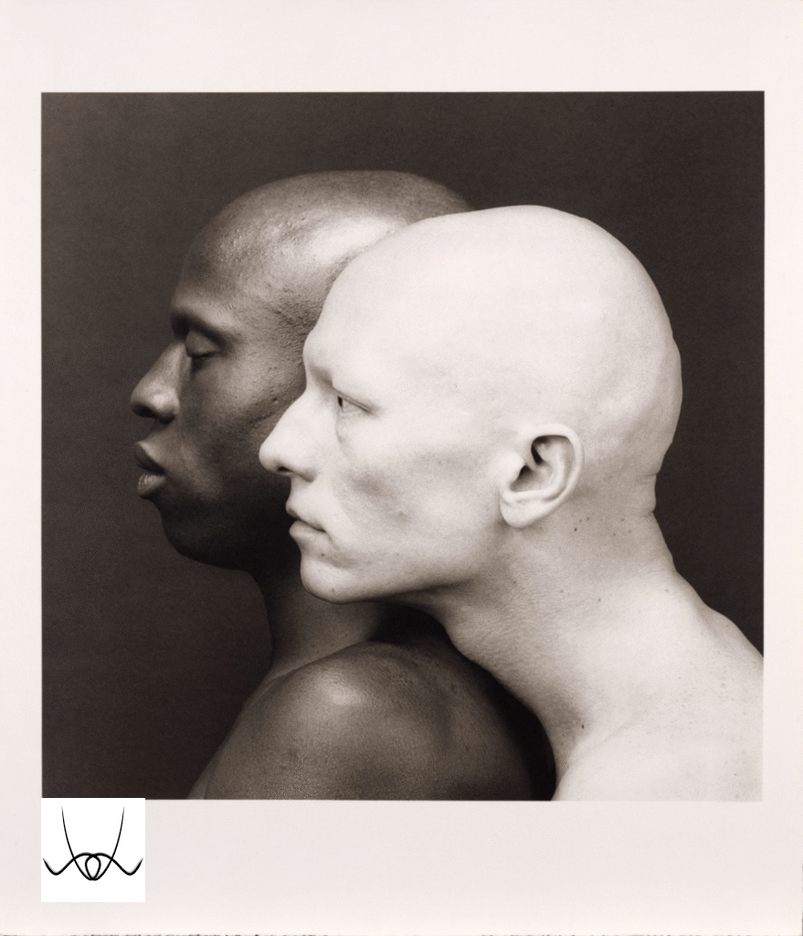 Robert Mapplethorpe