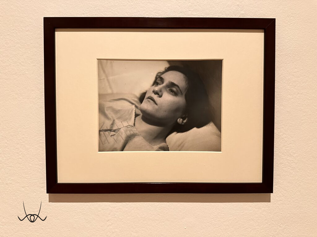 Rogi Andrè egy élet, két sors