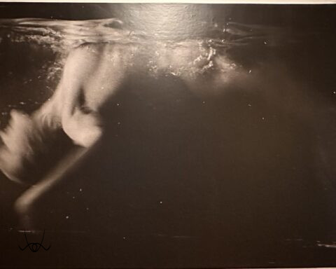 Rogi Andrè egy élet, két sors