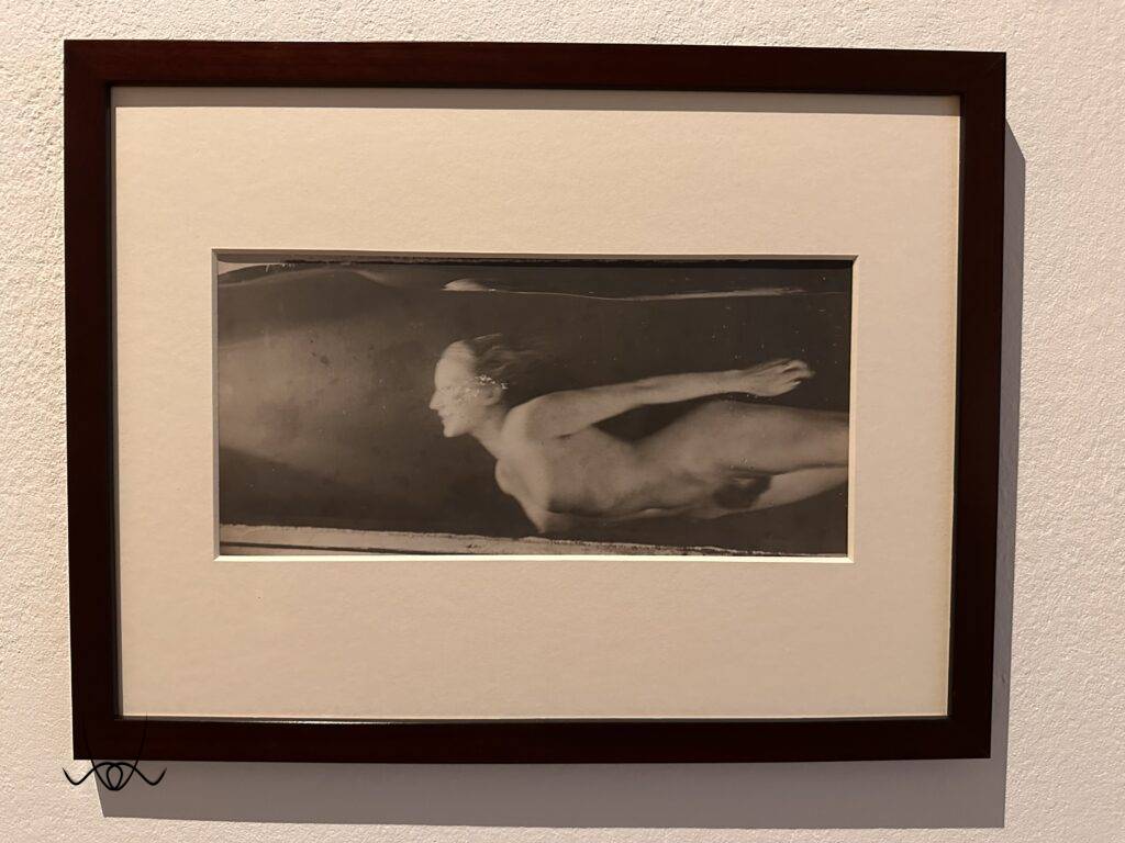 Rogi Andrè egy élet, két sors