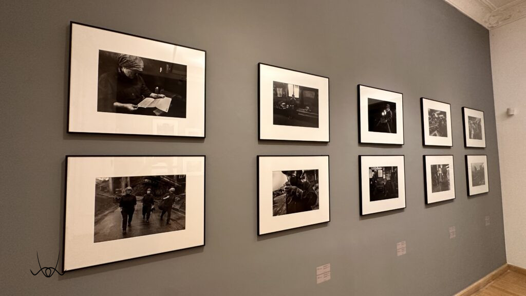 The Power of Silence Reigns at Mai Manó House – Exhibition Recommendation