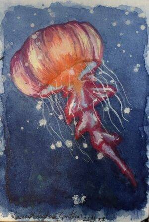 Medúza - Jellyfish