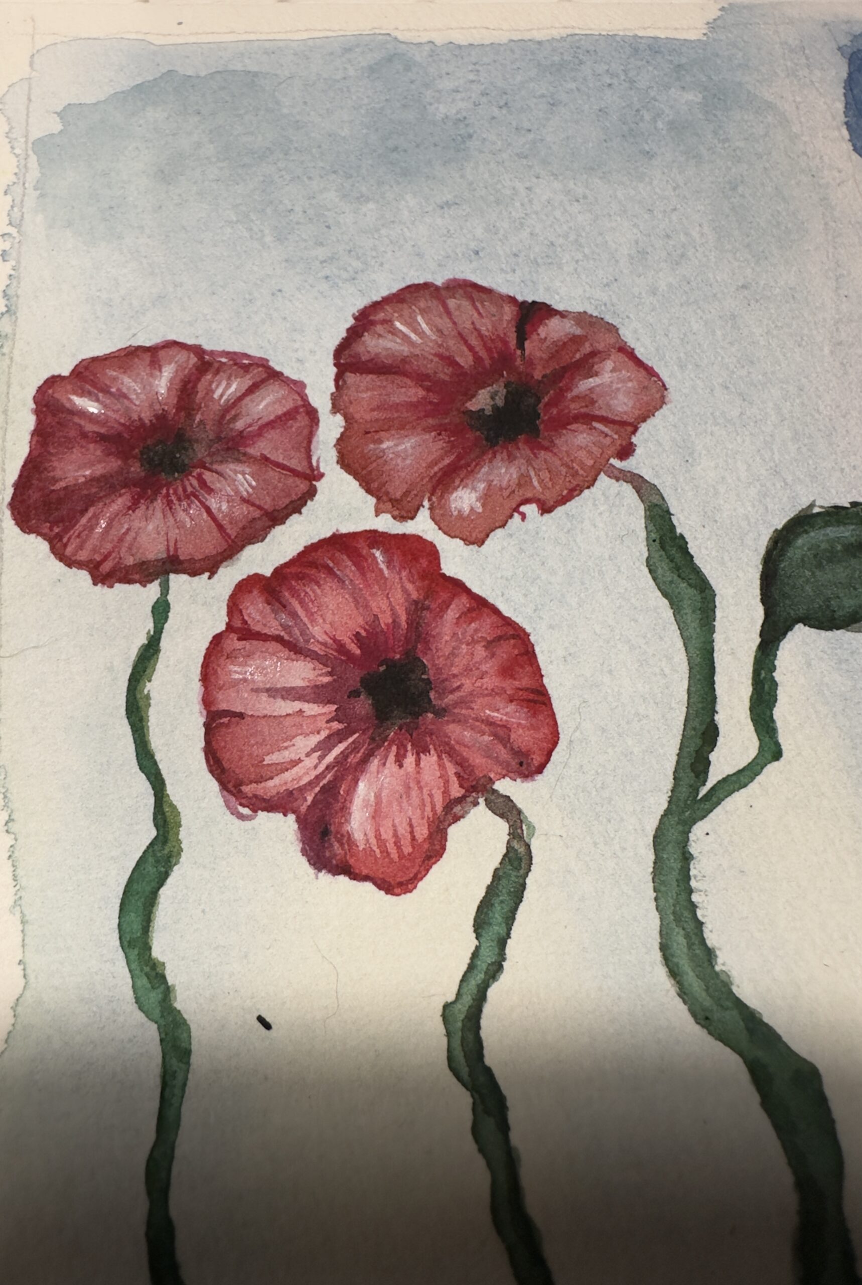 Flowers - Virágok