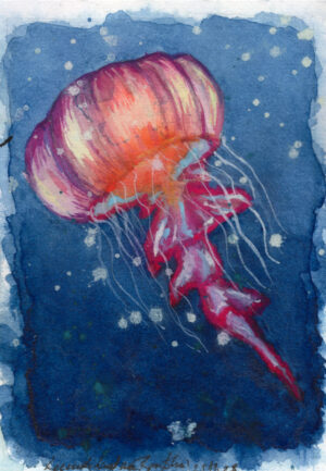 Jellyfish - Medúza