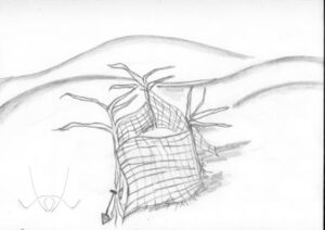 I Who Have Never Known Men Illustrations 4