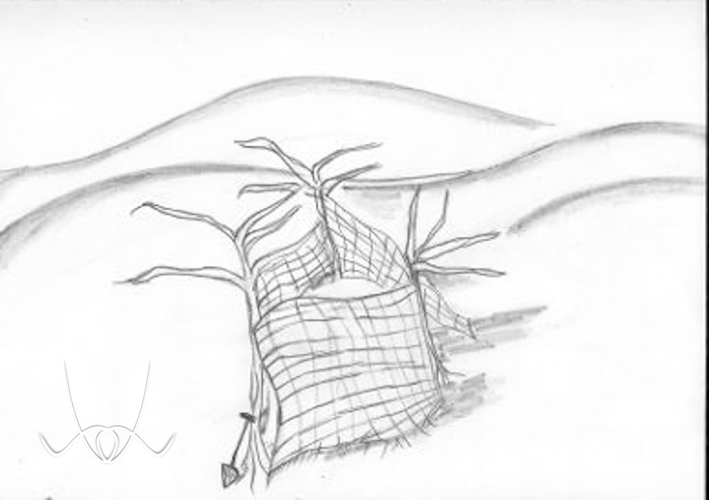 I Who Have Never Known Men Illustrations 4